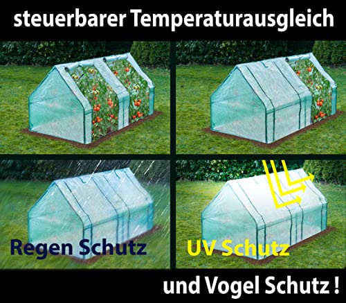Gartenfreude Folien Gewächshaus Frühbeet 185 x 95 x 95 cm (LxBxH) - 5